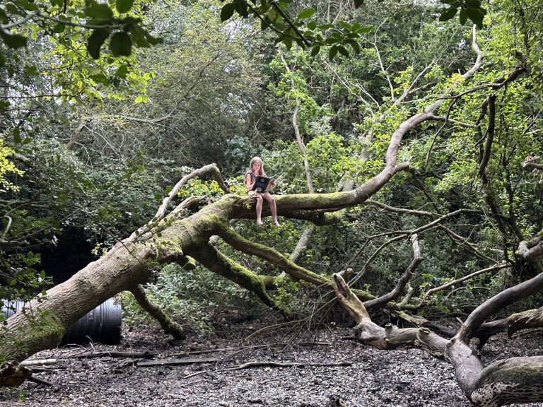 Peace and Tranquility